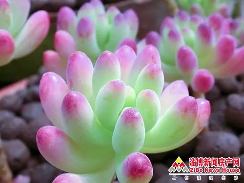 640.webp (18).jpg