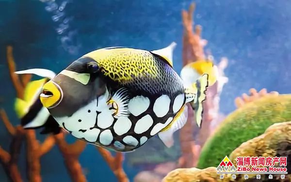 640.webp (36).jpg