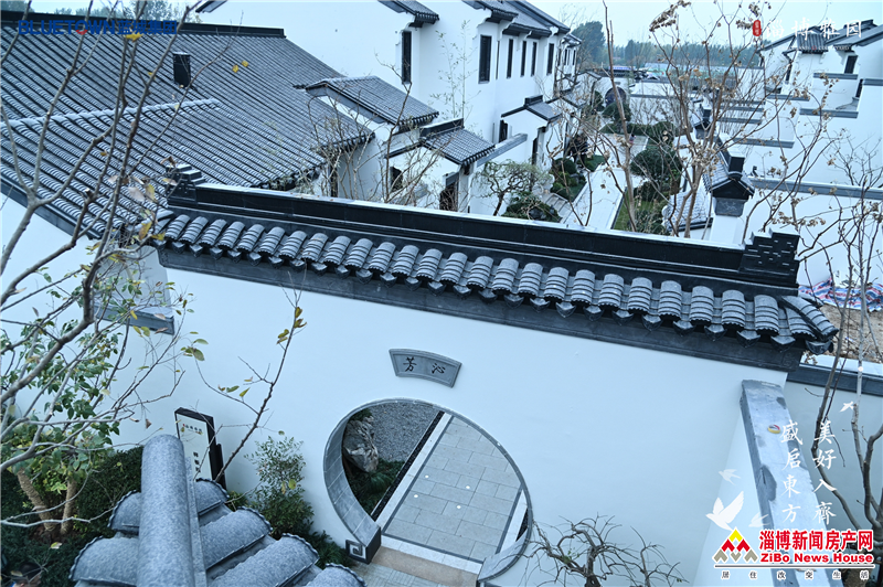 图片 10.png